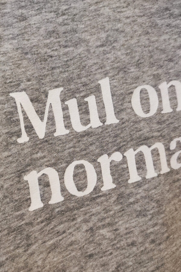 Mul on praegu normaalne №4 - Grey - Image 2